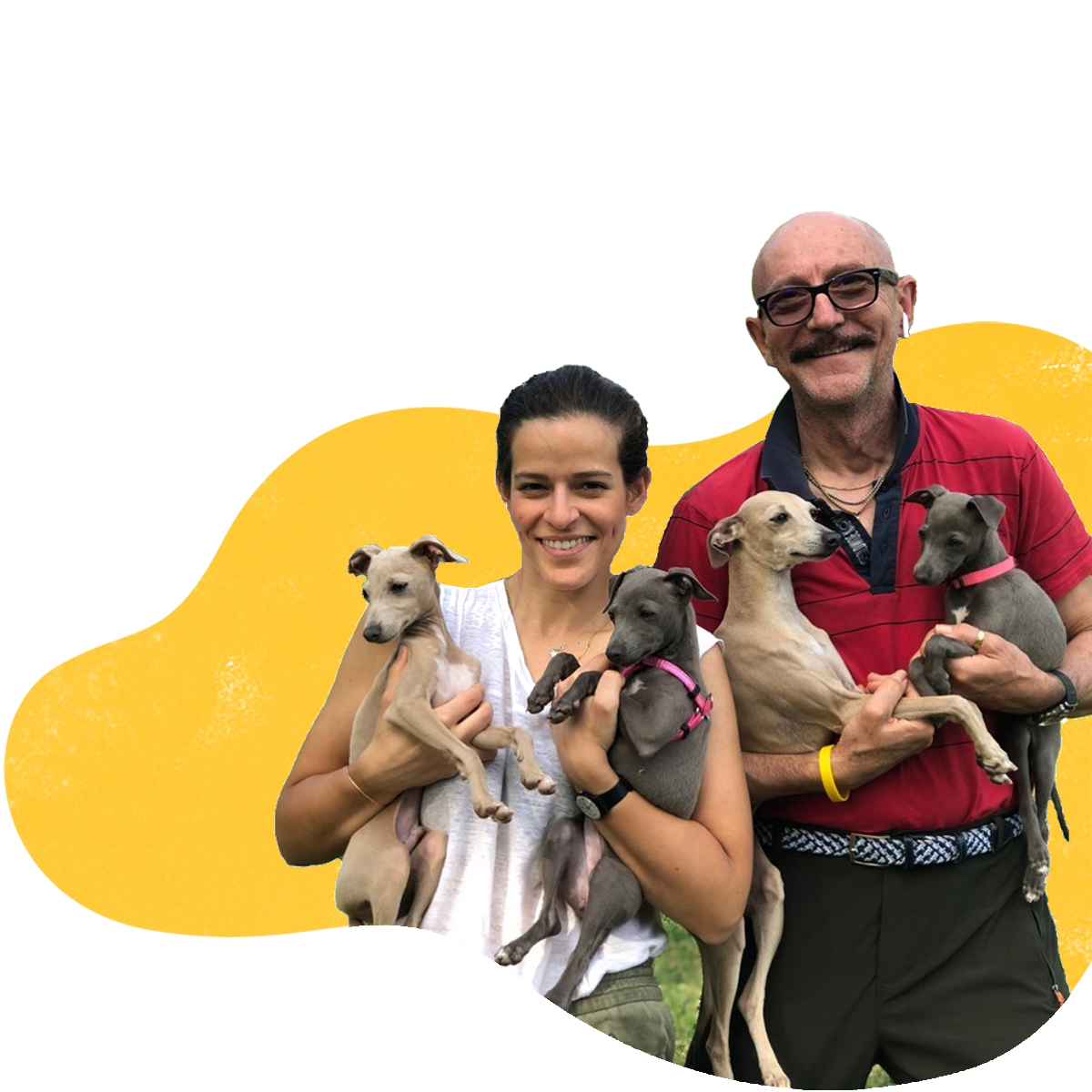 COME LAVORIAMO dx https://www.pensione-canimilano.it/wp-content/uploads/2020/06/COME-LAVORIAMO-dx.png