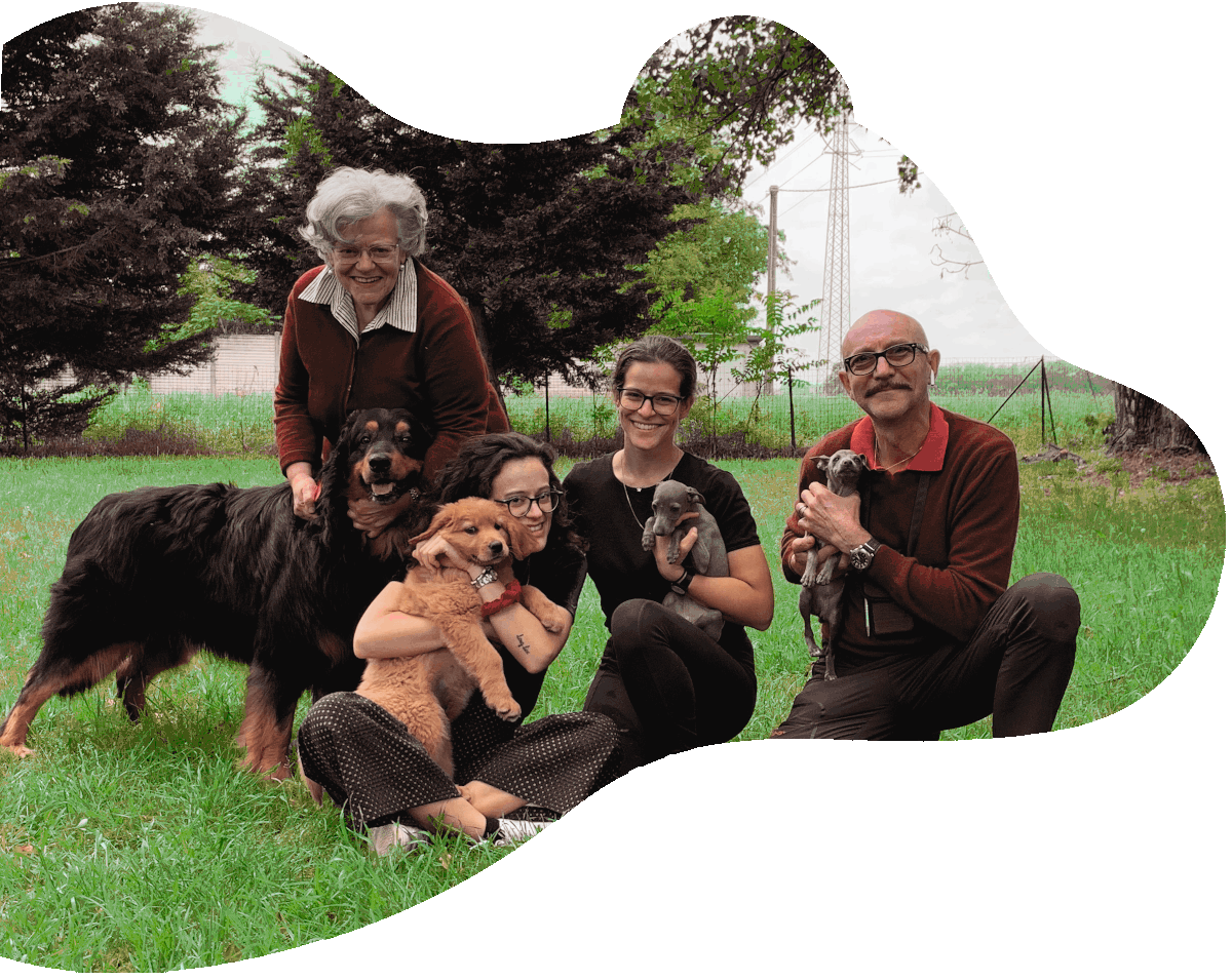 vertragus-al-completohd https://www.pensione-canimilano.it/wp-content/uploads/2020/06/vertragus-al-completohd.png